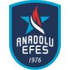 Anadolu Efes