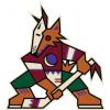 Arizona Coyotes