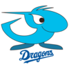 Chunichi Dragons