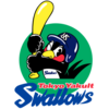 Tokyo Yakult Swallows